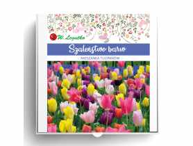 Kompozycja cebul kwiatowych Szaleństwo barw W.LEGUTKO