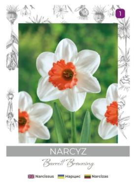 zdjęcie produktu