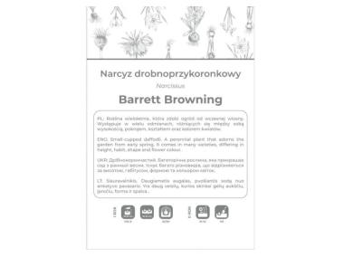 Zdjęcie: Narcyz Barrett Browning biały z pomarańczowym przykoronkiem 3 sztuki W.LEGUTKO