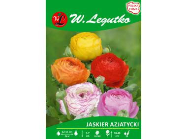 Zdjęcie: Jaskier azjatycki mieszanka seria tradycyjna W.LEGUTKO