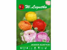 Jaskier azjatycki mieszanka seria tradycyjna W.LEGUTKO