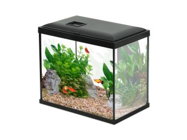 Zdjęcie: Akwarium Initio 30 z filtrem kaskadowym 30, LED, 13 L ZOLUX