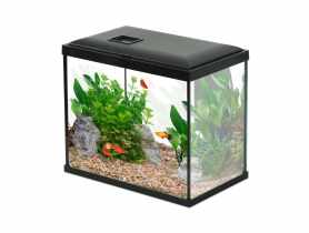 Akwarium Initio 30 z filtrem kaskadowym 30, LED, 13 L ZOLUX