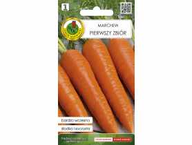 Marchew jadalna Pierwszy Zbiór 2 g PNOS