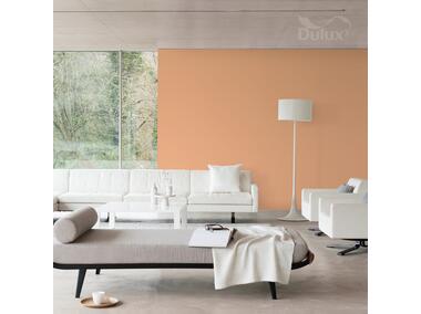 Zdjęcie: Farba do wnętrz EasyCare 5 L morelowy na okrągło DULUX