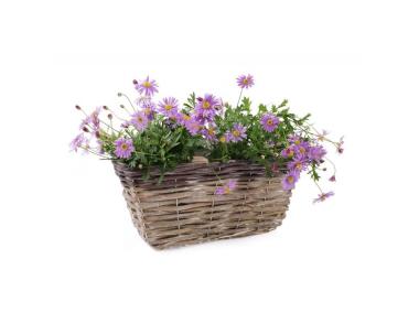 Zdjęcie: Balkonówka doniczka wiklinowa z folią na kwiaty 31x17x14 cm brąz TIN TOURS