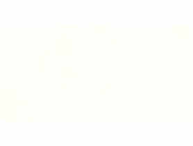 Gres szkliwiony wielkoformatowy Mila Bianco Polished 80x160 cm