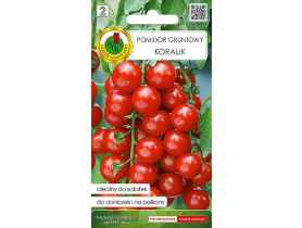 Pomidor gruntowy Koralik 0,5 g PNOS