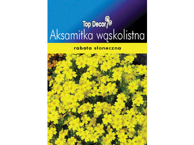 Zdjęcie: Aksamitka wąskolistna TOP DECOR