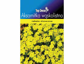 Aksamitka wąskolistna TOP DECOR