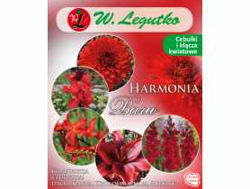 Kompozycja czerwona Harmonia Barw Wiosna W.LEGUTKO