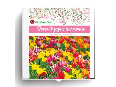 Zdjęcie: Kompozycja cebul kwiatowych Romantyczna harmonia W.LEGUTKO