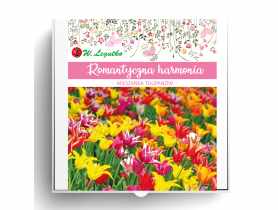 Kompozycja cebul kwiatowych Romantyczna harmonia W.LEGUTKO
