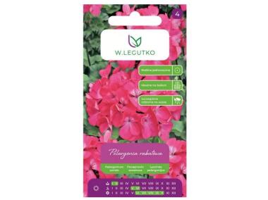 Zdjęcie: Pelargonia rabatowa Gama F1 różowa 0,05 g W.LEGUTKO