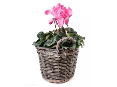 Zdjęcie: Kosz z uchwytami z folią do obsadzania kwiatami 27x21x/27 cm duży TIN TOURS