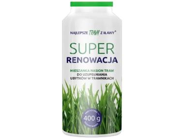 Zdjęcie: Mieszanka traw Renowacyjna 400 gr solniczka ROLIMPEX