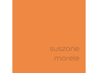 Zdjęcie: Farba do wnętrz Kolory Świata 2,5 L suszone morele DULUX
