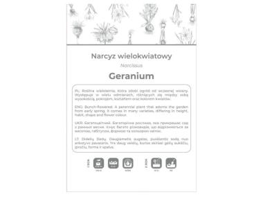 Zdjęcie: Narcyz Geranium biały 3 sztuki W.LEGUTKO