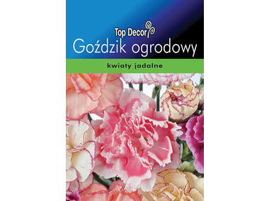 Zdjęcie: Goździk ogrodowy TOP DECOR