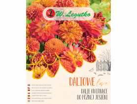 Dalie kwitnące do późnej jesieni W.LEGUTKO