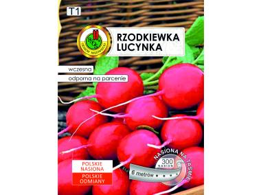 Zdjęcie: Rzodkiewka Lucynka 6 m PNOS