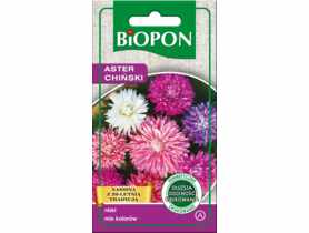 Aster chiński karłowy mieszanka 1 g BIOPON