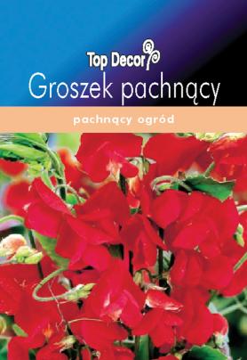 zdjęcie produktu