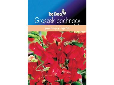 Zdjęcie: Groszek pachnący TOP DECOR