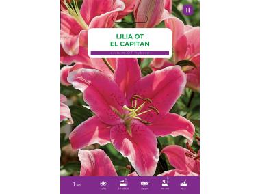 Zdjęcie: Lilia El Capitan LEGUTKO