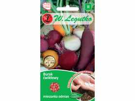 Burak ćwikłowy nasiona otoczkowane 100 szt. W. LEGUTKO