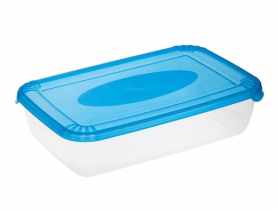 Pojemnik Polar 3 L prostokątny PLAST TEAM