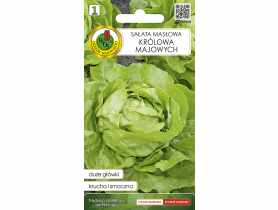 Sałata głowiasta masłowa Królowa Majowych 0,5 g PNOS