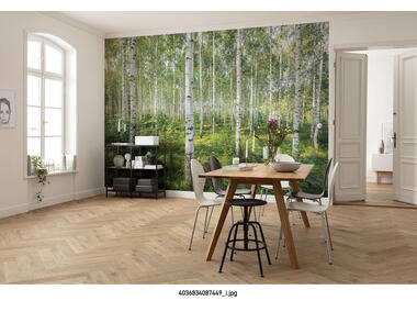 Zdjęcie: Fototapeta Sunny Day VENA