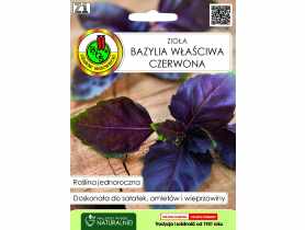 Bazylia właściwa czerwona 0,3 g PNOS