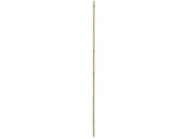 Zdjęcie: Tyczka bambusowa 90 cm RN DYSTRYBUCJA