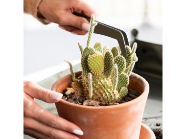 Zdjęcie: Zestaw metalowych narzędzi do sadzenia roślin Plant Care 5 sztuk FISKARS