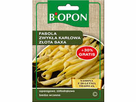 Fasola zwykła karłowa Złota Saxa żółtostrąkowa 25 g BIOPON