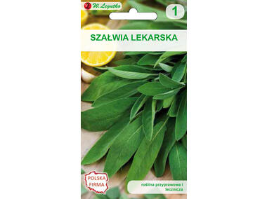 Zdjęcie: Szałwia lekarska 0,5 g W.LEGUTKO