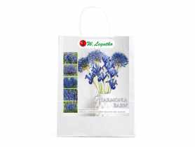 Kompozycja niebieska W.LEGUTKO