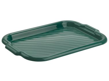 Zdjęcie: Taca prostokątna Molly 40x28 cm zielona GALICJA