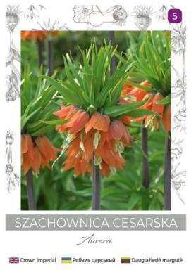 zdjęcie produktu