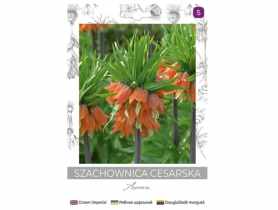 Szachownica cesarska Aurora pomarańczowa 1 sztuka W.LEGUTKO