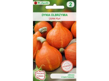 Zdjęcie: Dynia olbrzymia Uchiki Kuri nasiona tradycyjne 2 g W. LEGUTKO