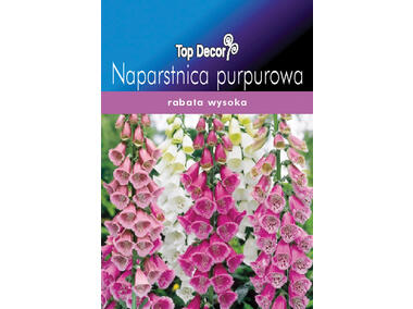 Zdjęcie: Naparstnica purpurowa TOP DECOR