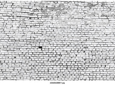 Zdjęcie: Fototapeta White Brick VENA