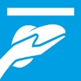 Właściwości