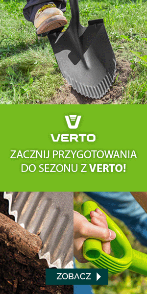 GTX POLAND 5