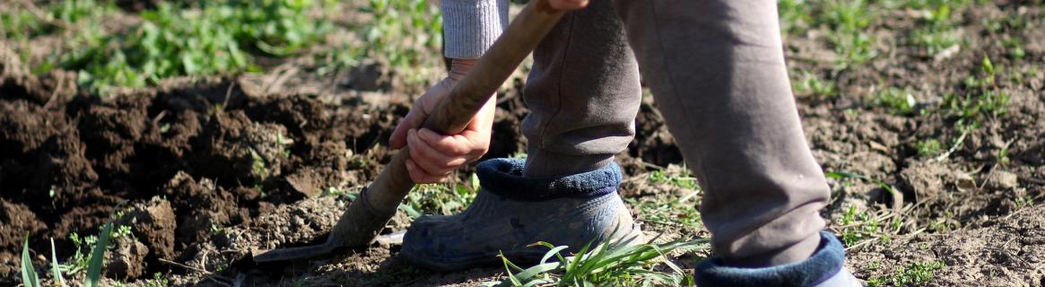 Ziemia z wykopu fundamentów – jak ją zagospodarować
