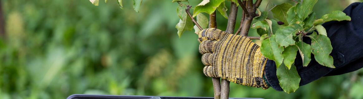 Jaki rozdrabniacz do gałęzi wybrać?