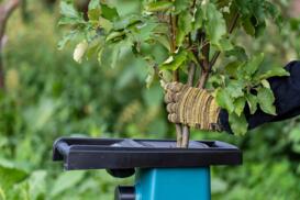 Jaki rozdrabniacz do gałęzi wybrać?